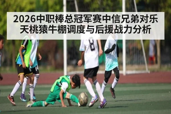 2026中职棒总冠军赛中信兄弟对乐天桃猿牛棚调度与后援战力分析